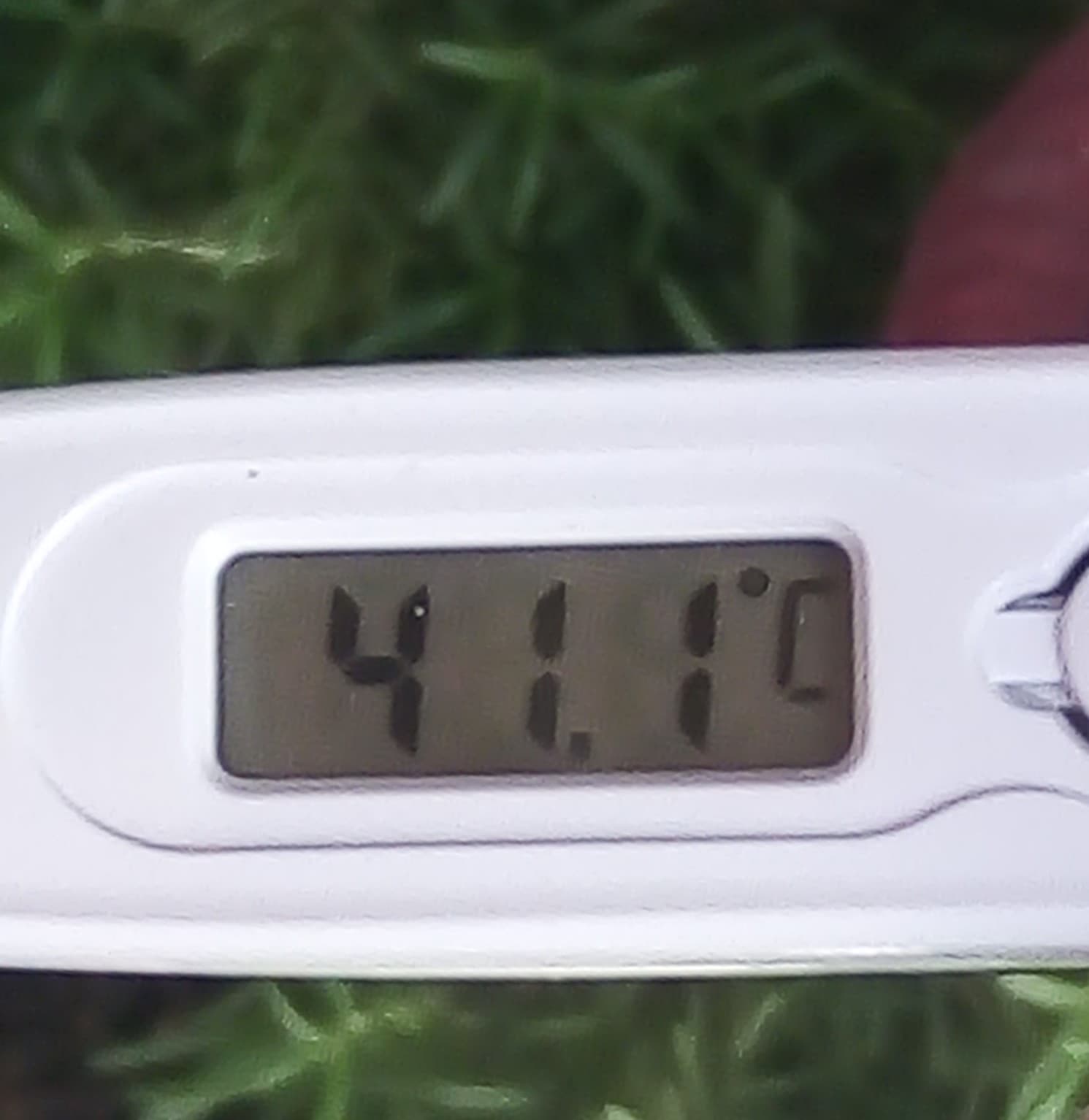 Thermometer showing 41°C during a heat wave